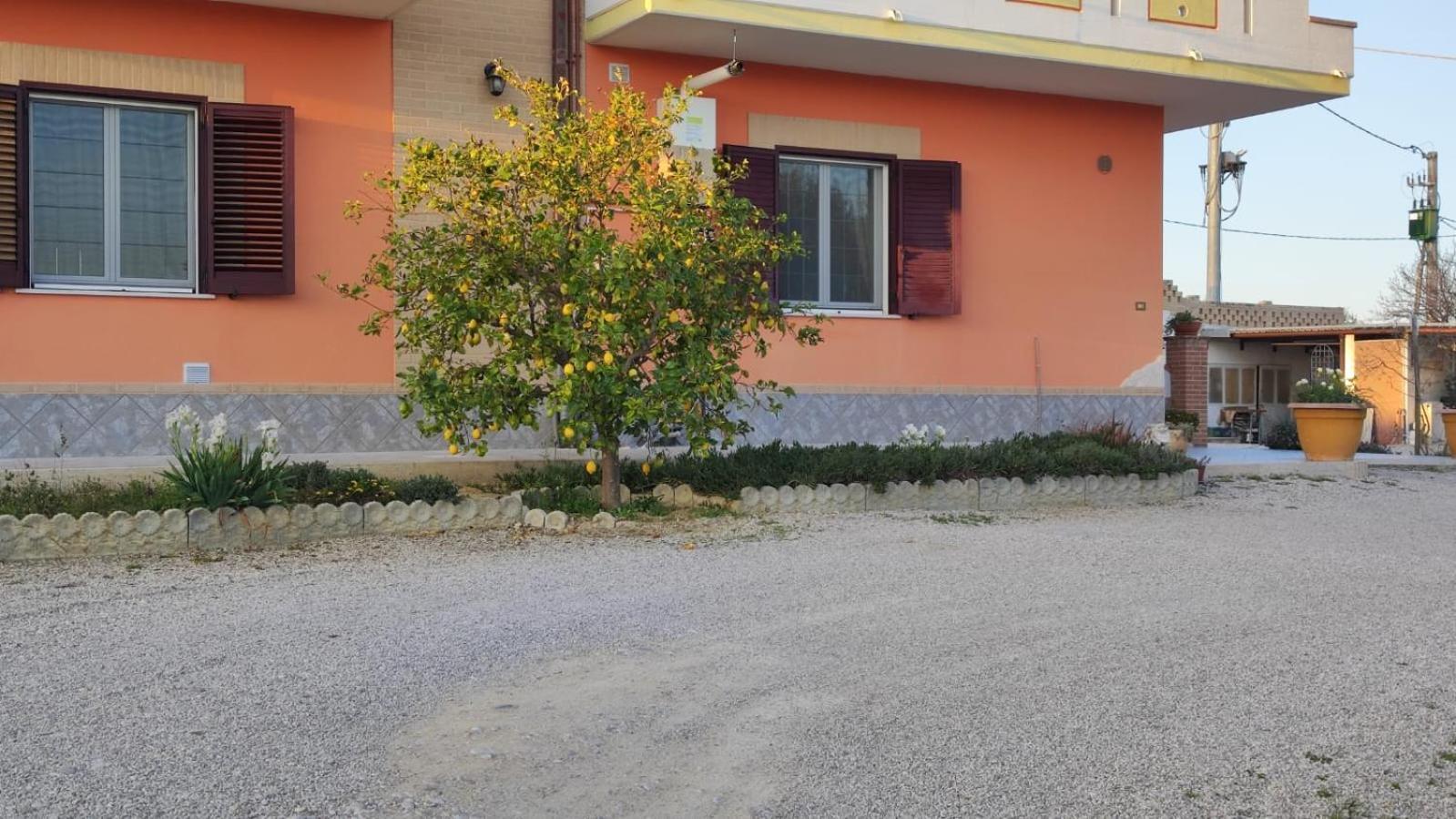 B&B I Tre Ulivi Morro dʼOro Exterior foto